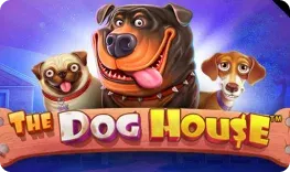 The Dog House at Aztec Paradise Casino
